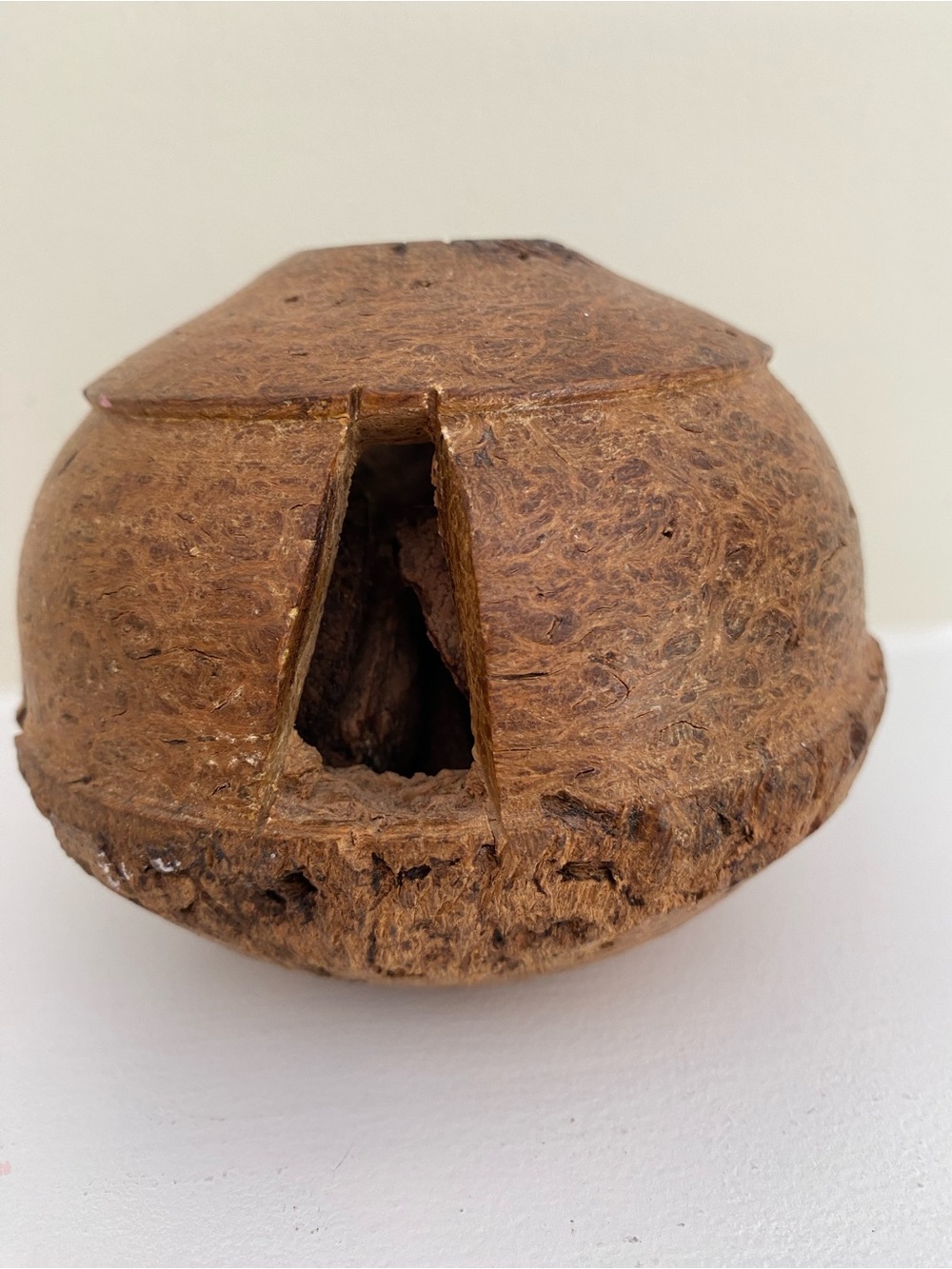 Hand Carved Wood Brazil Nut Pod  with Nuts candle holder or Baby Rattle